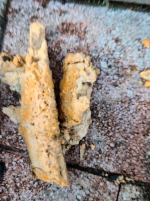 하수구막힘 PC 이미지 2391156